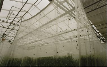 Anti fabrication d'insecte d'agriculture en plastique de jardin, anti filet d'insecte d'usines