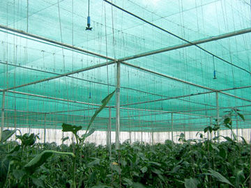 Filet UV d'ombre d'agriculture de Sun de HDPE anti pour que la Chambre verte protège des usines