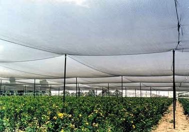 Anti filet de haute résistance d'agriculture de grêle, fabrication tricotée par Raschel de HDPE