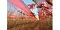 Filet rouge d'ombre d'agriculture de Raschel de HDPE de ferme spéciale pour des fermes d'agriculture